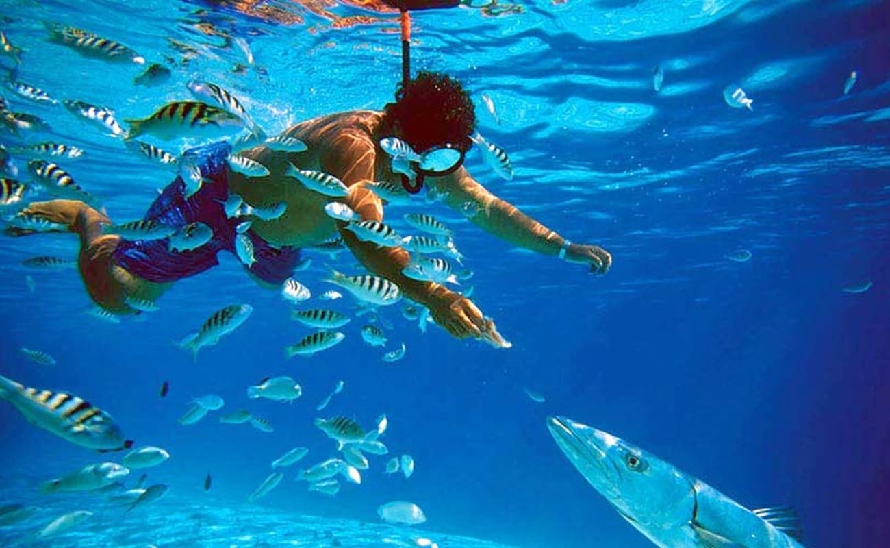 Snorkelling | adventures by WanderTrust