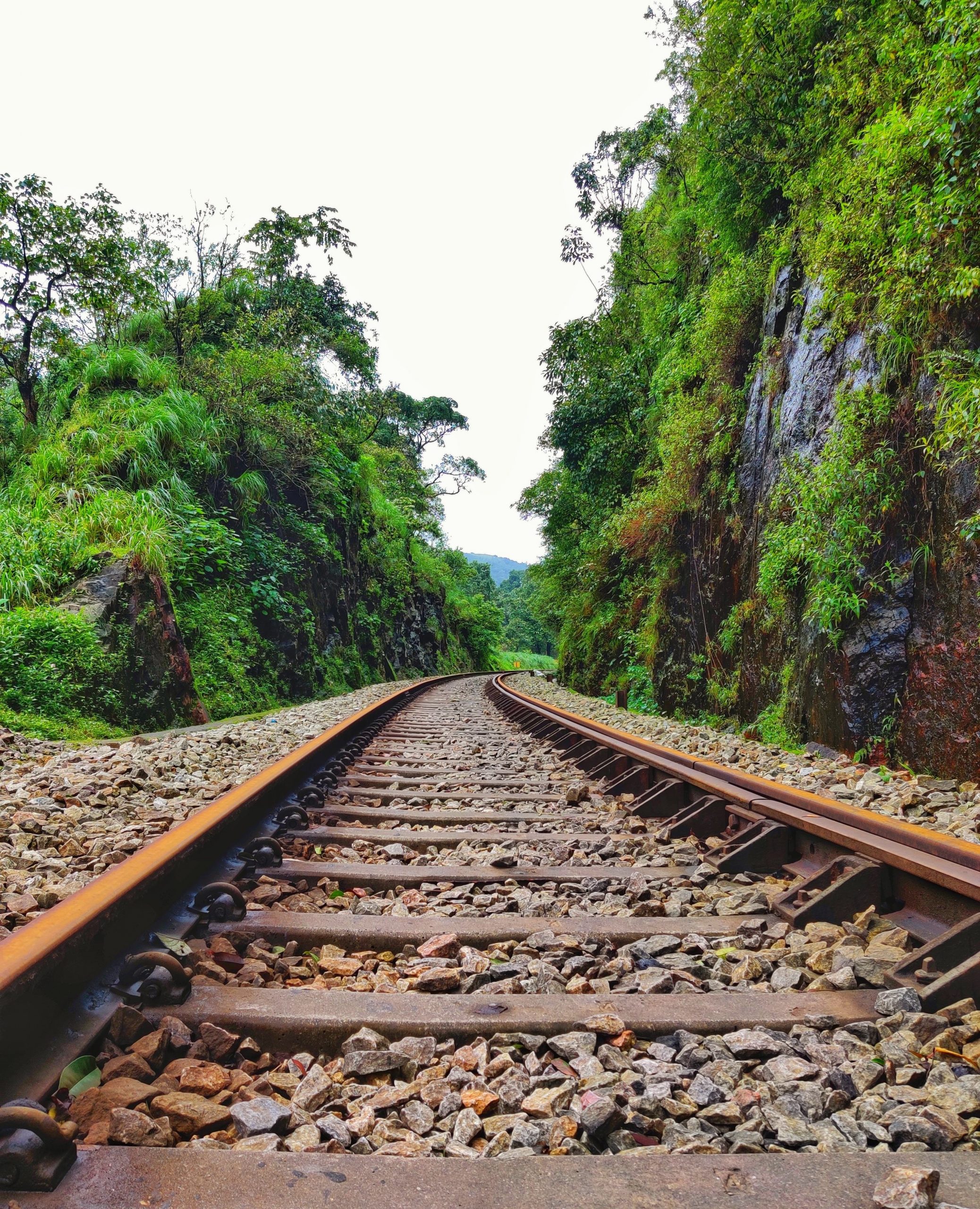 chikmagalur solo trip