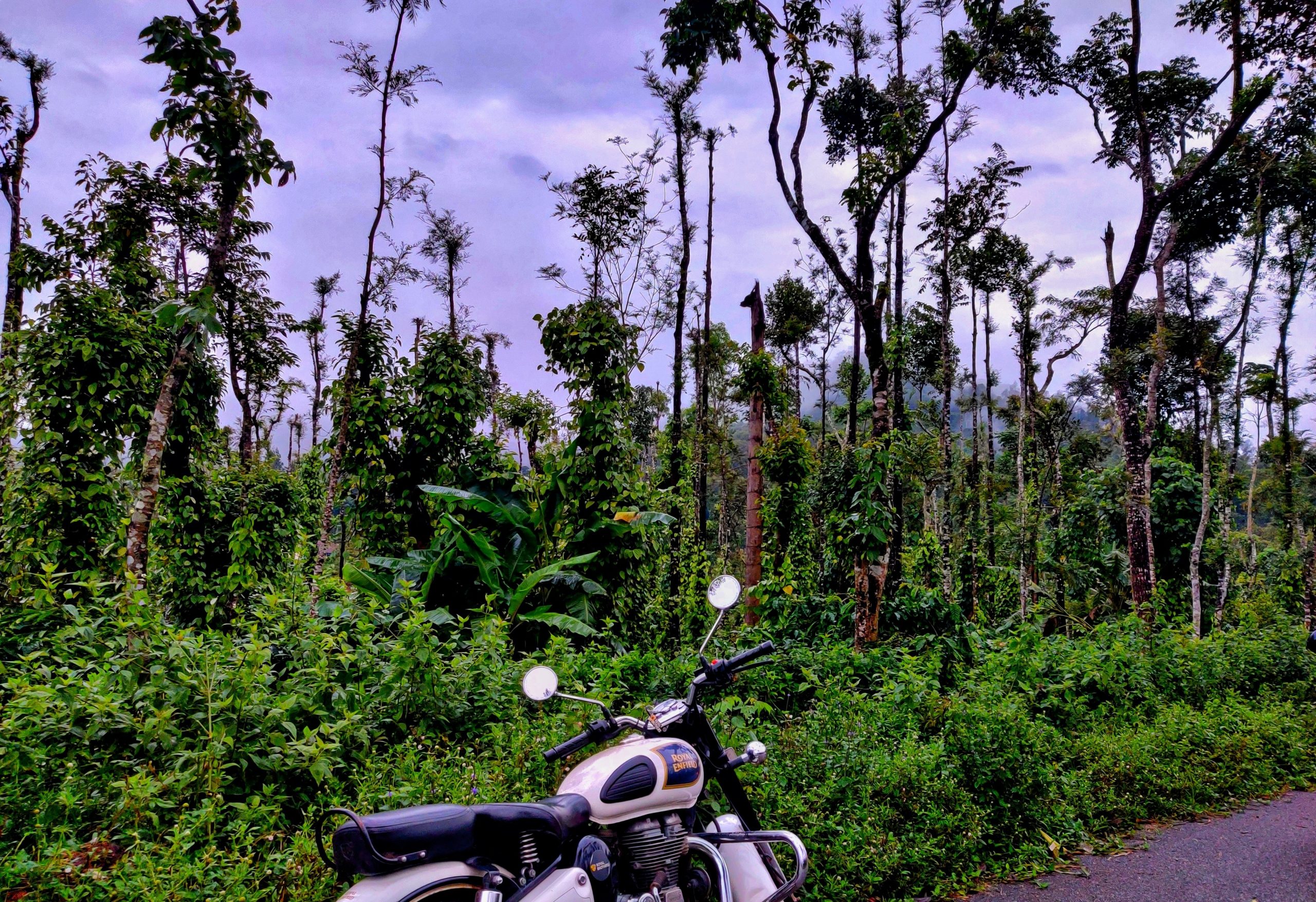 chikmagalur solo trip