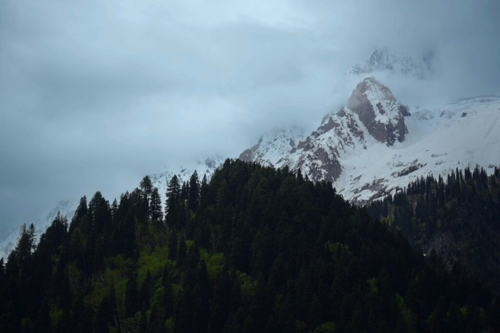 Gulmarg, Kashmir 