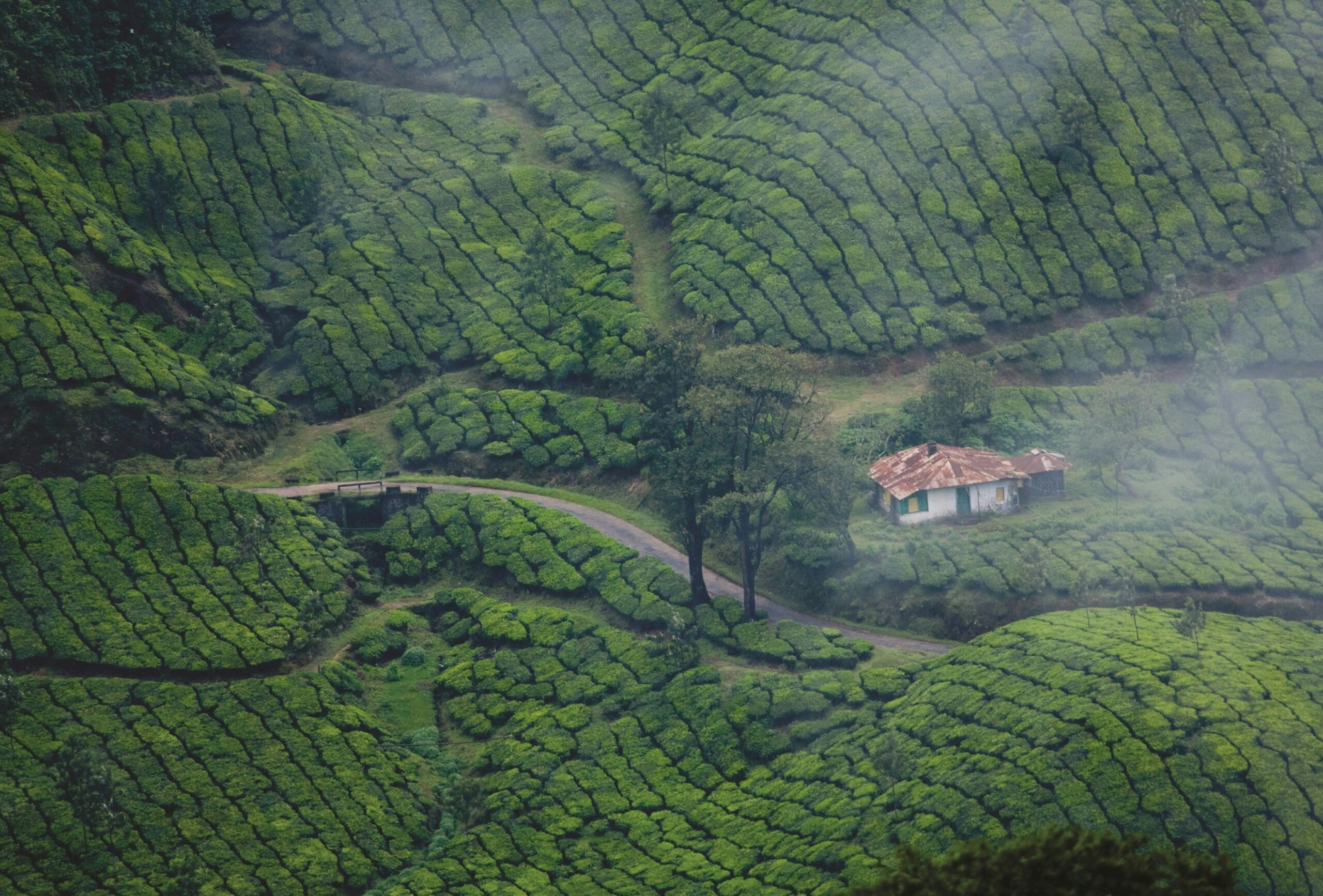 Places to Visit in Kerala in April