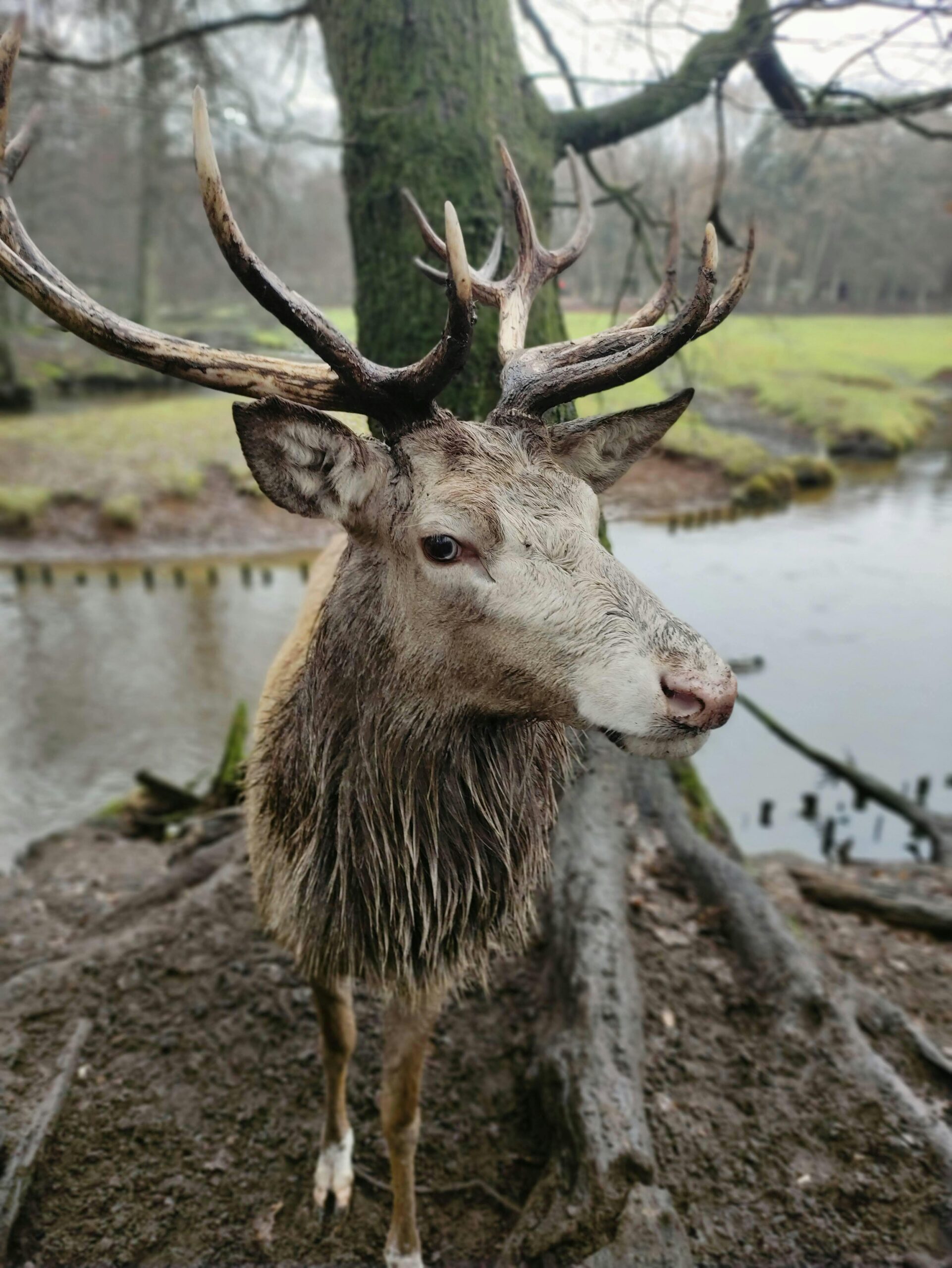 Visit this dormant volcanic crater offering panoramic vistas