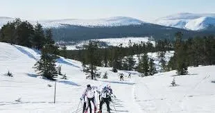 Ski slopes, igloos, winter safaris
