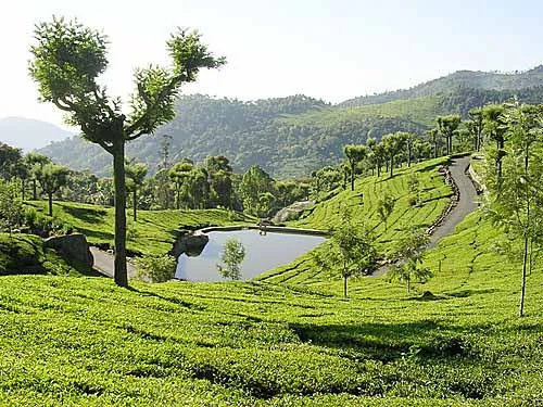 Catherine Falls view, Rangaswamy Peak area